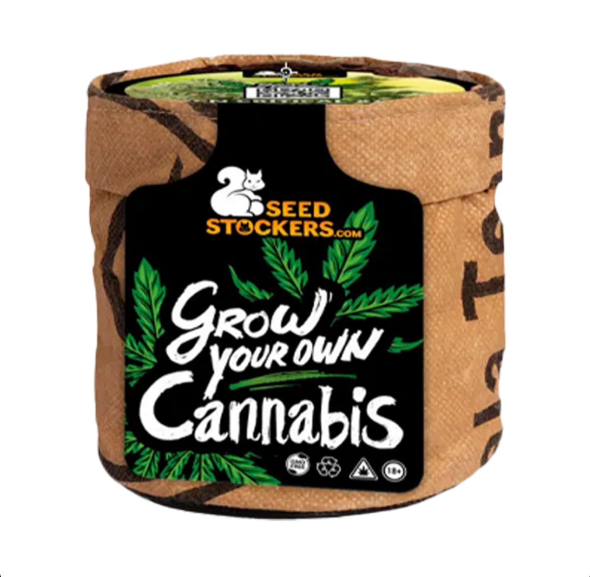 KIT DI COLTIVAZIONE Seedstocker BCN Critical XXL Auto